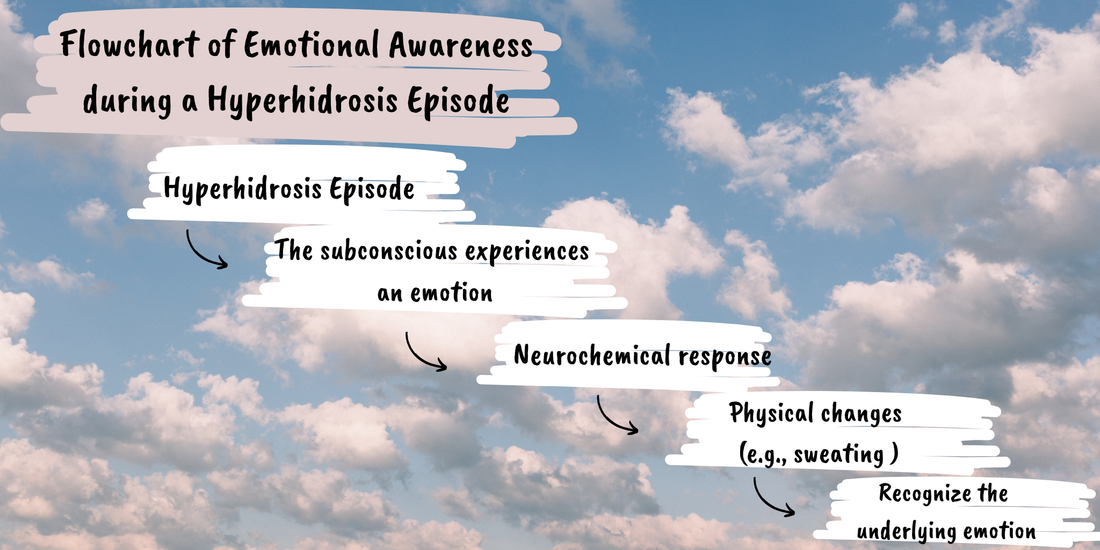 Diagram 2, "Flowchart of Emotional Awareness During a Hyperhidrosis Episode," in My Hyperhidrosis Transformation: Tools to Break Free From Hyperhidrosis (Katz, 2026).