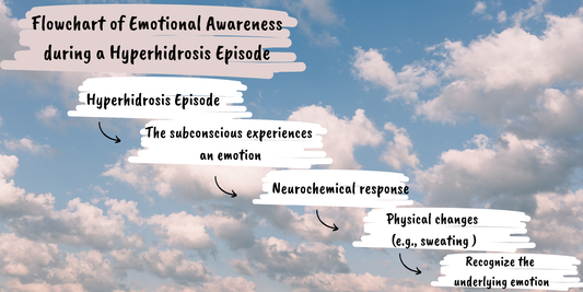 Diagram 2, "Flowchart of Emotional Awareness During a Hyperhidrosis Episode," in My Hyperhidrosis Transformation: Tools to Break Free From Hyperhidrosis (Katz, 2026).