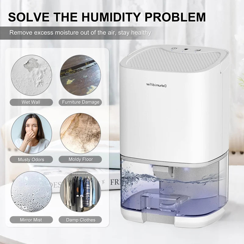 Air Dehumidifier